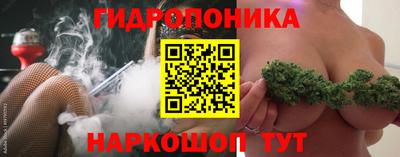 дмт Камышлов