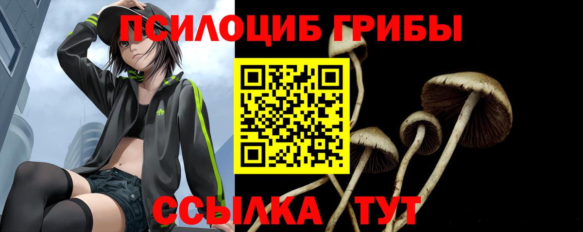 Галлюциногенные грибы Magic Shrooms Назрань